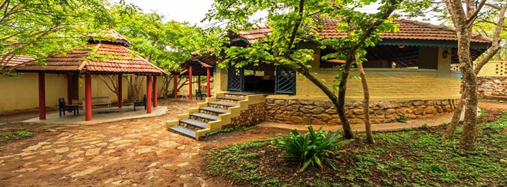 1832/The Windflower Tusker Trails - Bandipur 04.jpg